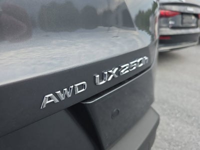 2023 Lexus UX UX 250h Premium