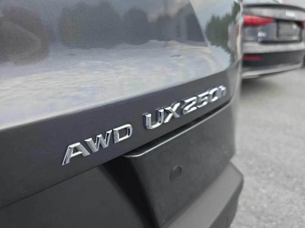 2023 Lexus UX UX 250h Premium