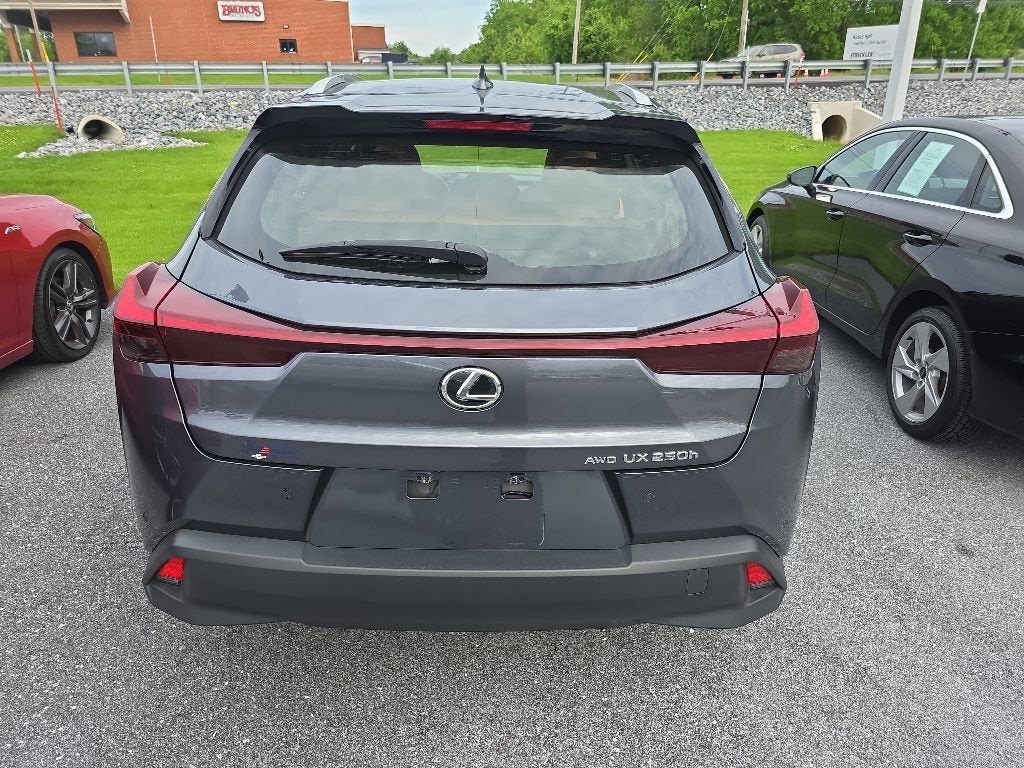 2023 Lexus UX UX 250h Premium